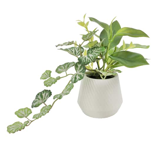 8&#x22; Ivy with Peperomia in Ribbed Ceramic Pot by Ashland&#xAE;